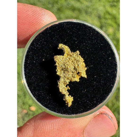 Alaska Shape Gold Crystal - 0.87 grams - California Gold Native Crystal - Picture 2 of 6